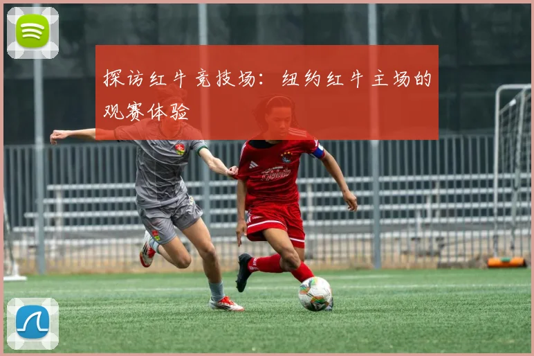 探访红牛竞技场:纽约红牛主场的观赛体验