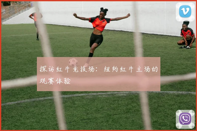 探访红牛竞技场：纽约红牛主场的观赛体验